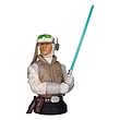 Star Wars Luke Skywalker Hoth Mini Bust